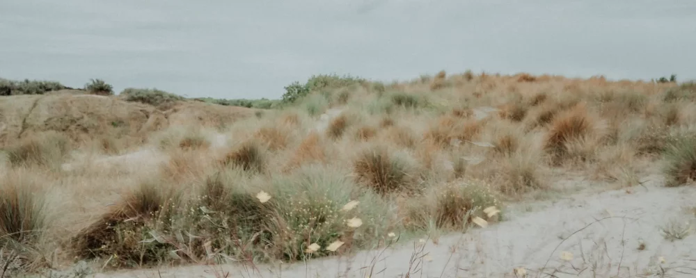 liberté cdv charline coaching voor verslaafden begeleiding ehbo 015