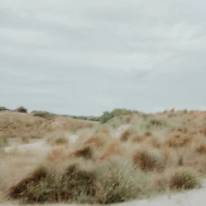 liberté cdv charline coaching voor verslaafden begeleiding ehbo 017